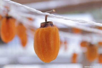 半日陰に干した柿