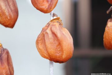 ベランダに干す場合の注意点